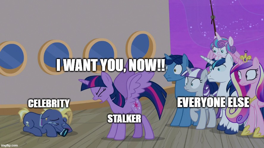 I WANT YOU, NOW!! EVERYONE ELSE; CELEBRITY; STALKER | made w/ Imgflip meme maker