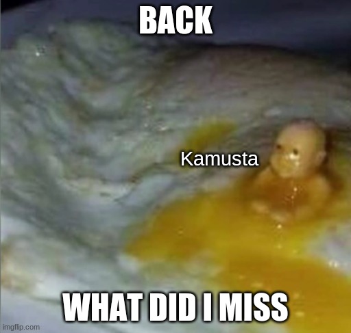 Kamusta | BACK; WHAT DID I MISS | image tagged in kamusta | made w/ Imgflip meme maker