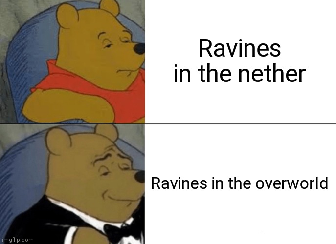 Mc |  Ravines in the nether; Ravines in the overworld | image tagged in memes,tuxedo winnie the pooh,mc,minecraft,meme,gifs | made w/ Imgflip meme maker