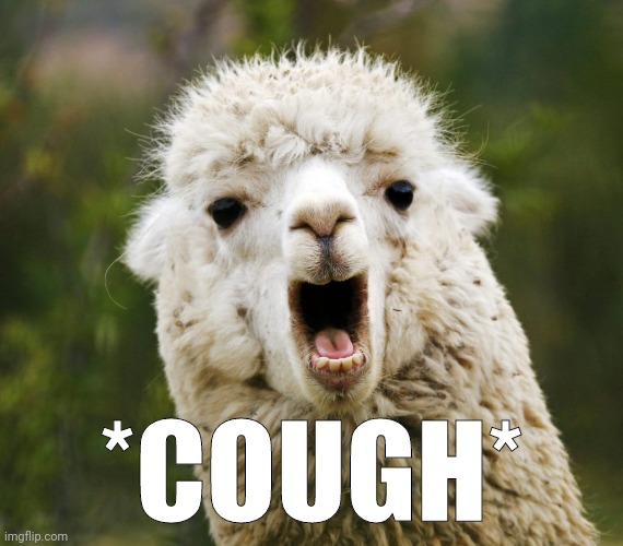Cough | *COUGH* | image tagged in wow llama,cough | made w/ Imgflip meme maker