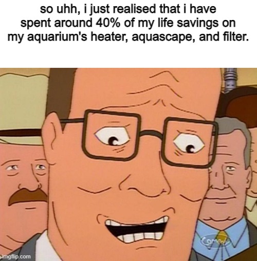 Nervous Laughter Hank | so uhh, i just realised that i have spent around 40% of my life savings on my aquarium's heater, aquascape, and filter. | image tagged in nervous laughter hank | made w/ Imgflip meme maker