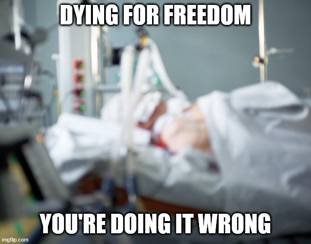 You're doing it wrong | DYING FOR FREEDOM; YOU'RE DOING IT WRONG | image tagged in blurry icu | made w/ Imgflip meme maker