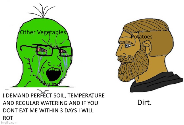 I DEMAND PERFECT SOIL, TEMPERATURE AND REGULAR WATERING AND IF YOU DONT EAT ME WITHIN 3 DAYS I WILL ROTT; POTATOES; DIRT; OTHER VEGETABLES | image tagged in vegetables,memes | made w/ Imgflip meme maker