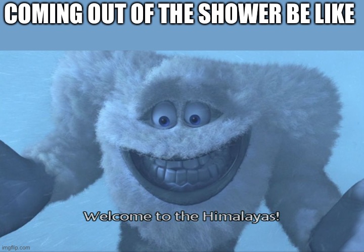Ik this one is already there but why not :D | COMING OUT OF THE SHOWER BE LIKE | image tagged in welcome to the himalayas | made w/ Imgflip meme maker