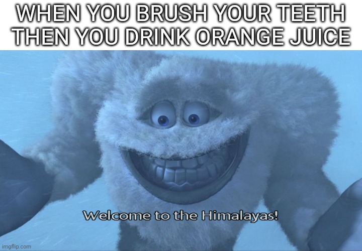 Welcome to the himalayas | WHEN YOU BRUSH YOUR TEETH THEN YOU DRINK ORANGE JUICE | image tagged in welcome to the himalayas | made w/ Imgflip meme maker