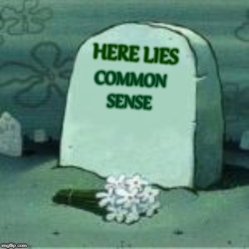 Here Lies X |  HERE LIES; COMMON SENSE | image tagged in here lies x,meme,memes,common sense | made w/ Imgflip meme maker