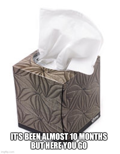 Need Some Tissues For Your Issues?!? | IT’S BEEN ALMOST 10 MONTHS
BUT HERE YOU GO | image tagged in need some tissues for your issues | made w/ Imgflip meme maker