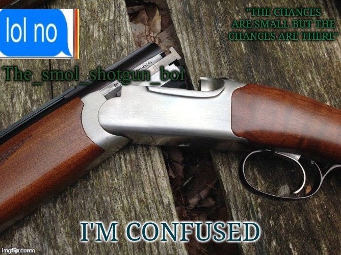 I hurt myself In my confusion | I'M CONFUSED | image tagged in smol shotgun boi temp | made w/ Imgflip meme maker