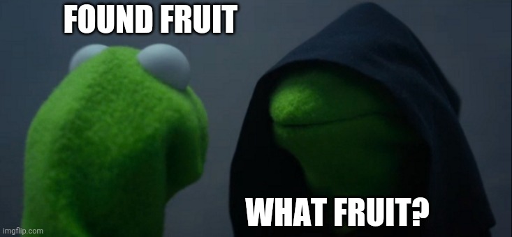 Fruit | FOUND FRUIT; WHAT FRUIT? | image tagged in evil kermit,memes | made w/ Imgflip meme maker