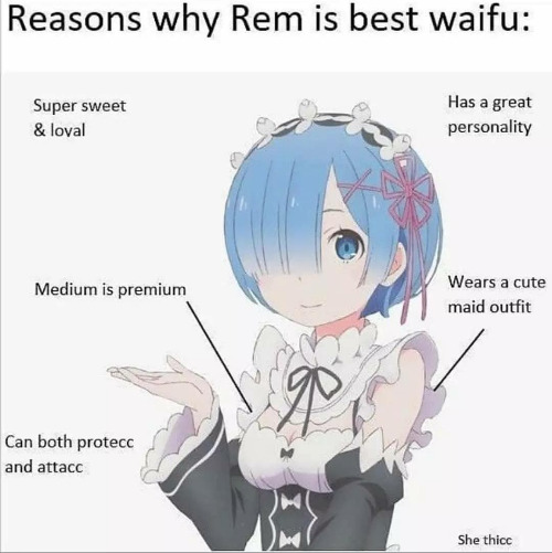 image tagged in rezero | made w/ Imgflip meme maker