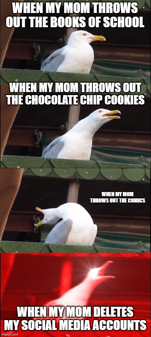 Mad Seagull | WHEN MY MOM THROWS OUT THE BOOKS OF SCHOOL; WHEN MY MOM THROWS OUT THE CHOCOLATE CHIP COOKIES; WHEN MY MOM THROWS OUT THE COMICS; WHEN MY MOM DELETES MY SOCIAL MEDIA ACCOUNTS | image tagged in memes,inhaling seagull | made w/ Imgflip meme maker