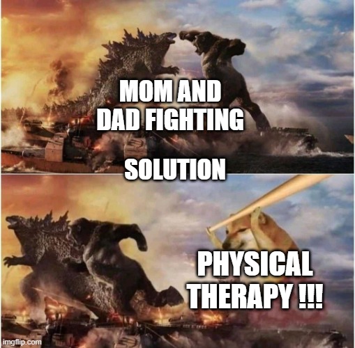 Kong Godzilla Doge | MOM AND DAD FIGHTING; SOLUTION; PHYSICAL THERAPY !!! | image tagged in kong godzilla doge | made w/ Imgflip meme maker