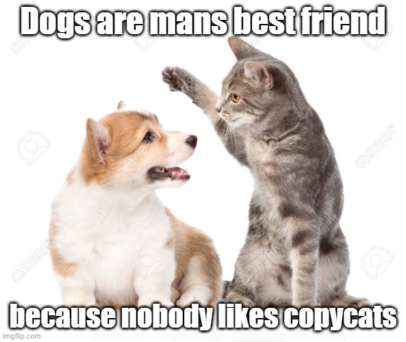 copy cat | Dogs are mans best friend; because nobody likes copycats | image tagged in copy cat | made w/ Imgflip meme maker