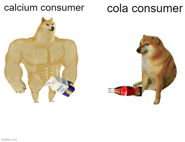 Buff Doge vs. Cheems | calcium consumer; cola consumer | image tagged in memes,buff doge vs cheems | made w/ Imgflip meme maker