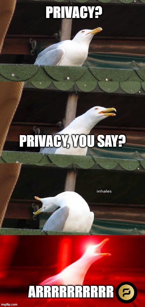 Pirate chain | PRIVACY? PRIVACY, YOU SAY? ARRRRRRRRRR | image tagged in cryptocurrency,arrr,privacycoins | made w/ Imgflip meme maker