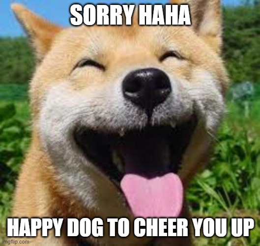 Happy Doge | SORRY HAHA HAPPY DOG TO CHEER YOU UP | image tagged in happy doge | made w/ Imgflip meme maker