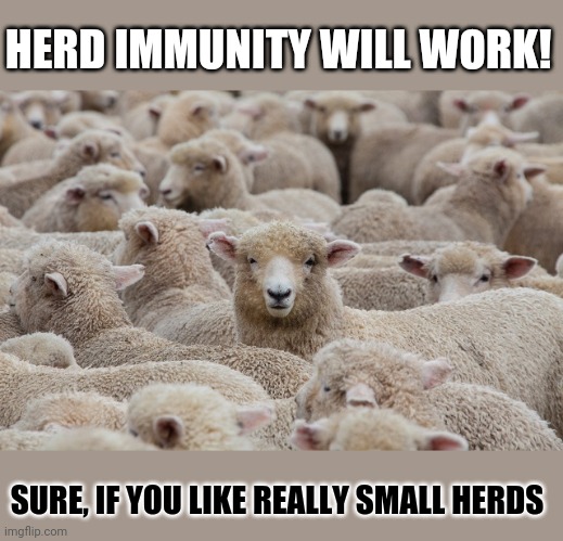 Herd immunity could work. Right? | HERD IMMUNITY WILL WORK! SURE, IF YOU LIKE REALLY SMALL HERDS | image tagged in covid19,sheeple,covidiots | made w/ Imgflip meme maker