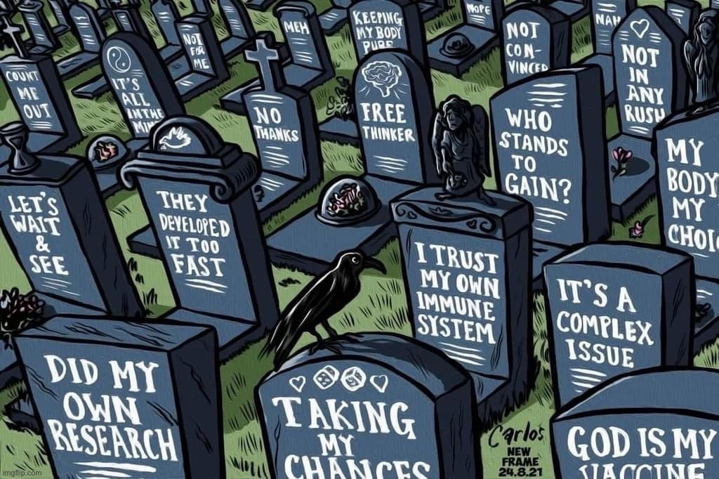 antivax excuses headstones gravestones Blank Meme Template