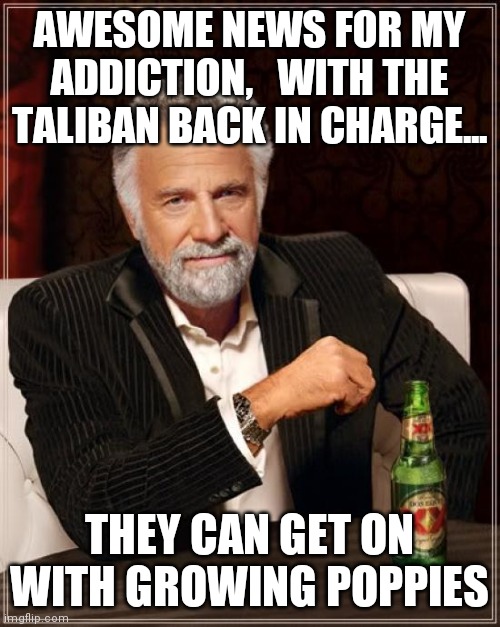 Poppies are back | AWESOME NEWS FOR MY ADDICTION,   WITH THE TALIBAN BACK IN CHARGE... THEY CAN GET ON WITH GROWING POPPIES | image tagged in memes,the most interesting man in the world,war on drugs,afghanistan,joe biden | made w/ Imgflip meme maker