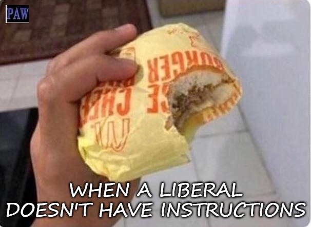 Liberal Instruction Manual | WHEN A LIBERAL DOESN'T HAVE INSTRUCTIONS | image tagged in liberal,politics,meme,funny | made w/ Imgflip meme maker