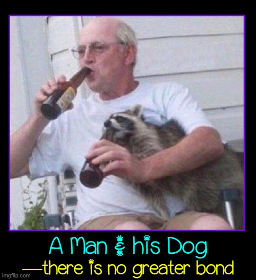 The Best Beers are the ones we drink with friends ...and are free | A Man & his Dog; —there is no greater bond | image tagged in vince vance,dogs,racoons,drinking beer,man's best friend,memes | made w/ Imgflip meme maker