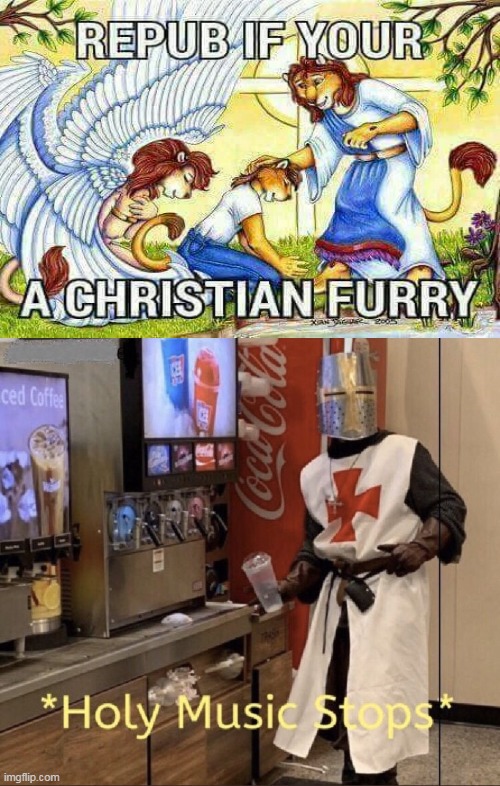 Wtf bro | image tagged in holy music stops,christianity,furry,memes | made w/ Imgflip meme maker