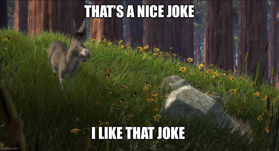 Thats a nice boulder | THAT’S A NICE JOKE I LIKE THAT JOKE | image tagged in thats a nice boulder | made w/ Imgflip meme maker