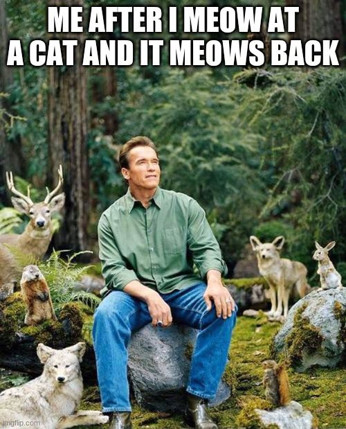 Arnold nature | ME AFTER I MEOW AT A CAT AND IT MEOWS BACK | image tagged in arnold nature | made w/ Imgflip meme maker