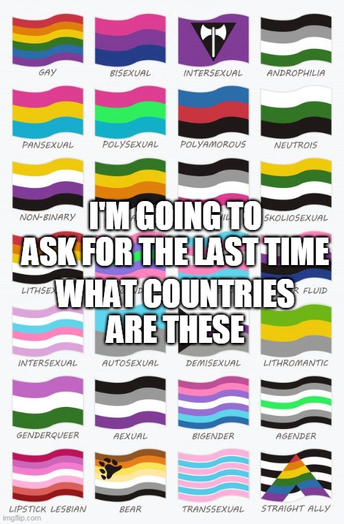 This is obviously a joke, don't use Twitter logic on me | I'M GOING TO ASK FOR THE LAST TIME; WHAT COUNTRIES ARE THESE | image tagged in memes,lgbt,flag | made w/ Imgflip meme maker