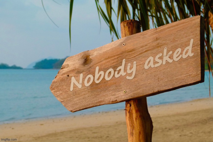 Nobody asked | image tagged in nobody asked | made w/ Imgflip meme maker