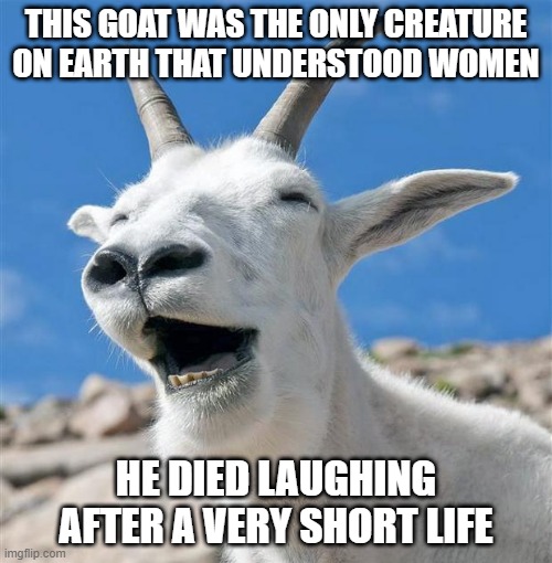 Master Goat | THIS GOAT WAS THE ONLY CREATURE ON EARTH THAT UNDERSTOOD WOMEN; HE DIED LAUGHING AFTER A VERY SHORT LIFE | image tagged in memes,laughing goat | made w/ Imgflip meme maker