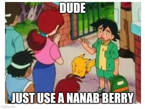 DUDE; JUST USE A NANAB BERRY | made w/ Imgflip meme maker