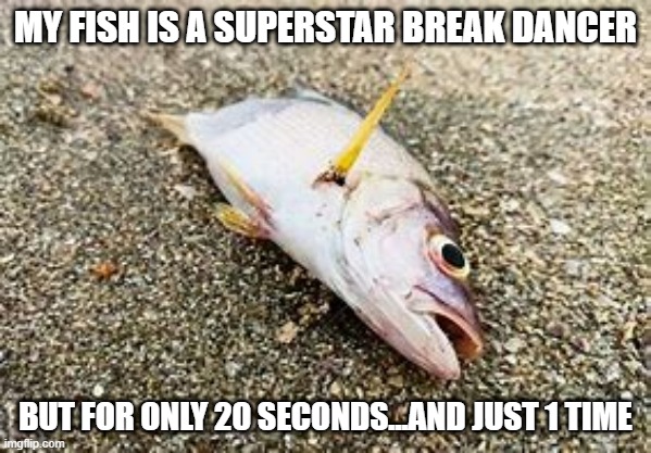 He Got Talent | MY FISH IS A SUPERSTAR BREAK DANCER; BUT FOR ONLY 20 SECONDS...AND JUST 1 TIME | image tagged in dead fish | made w/ Imgflip meme maker