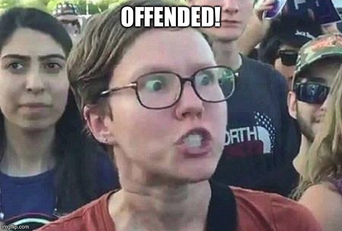 Triggered Liberal | OFFENDED! | image tagged in triggered liberal | made w/ Imgflip meme maker