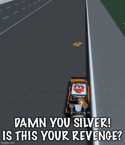 Silver and Cheems clashed. | Cheems; DAMN YOU SILVER! IS THIS YOUR REVENGE? | image tagged in silver,cheems,memes,nascar,nmcs,oh wow are you actually reading these tags | made w/ Imgflip meme maker