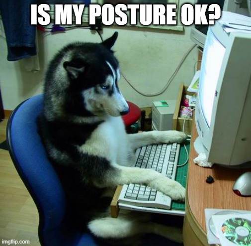 DOGGO | IS MY POSTURE OK? | image tagged in memes,i have no idea what i am doing | made w/ Imgflip meme maker