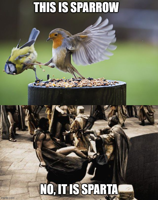 Is this Sparta? - Imgflip