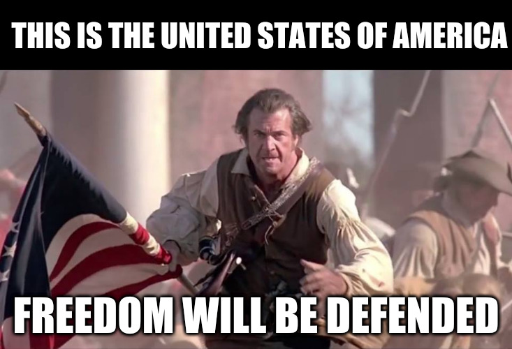 We will defend freedom | THIS IS THE UNITED STATES OF AMERICA; FREEDOM WILL BE DEFENDED | image tagged in the patriot | made w/ Imgflip meme maker