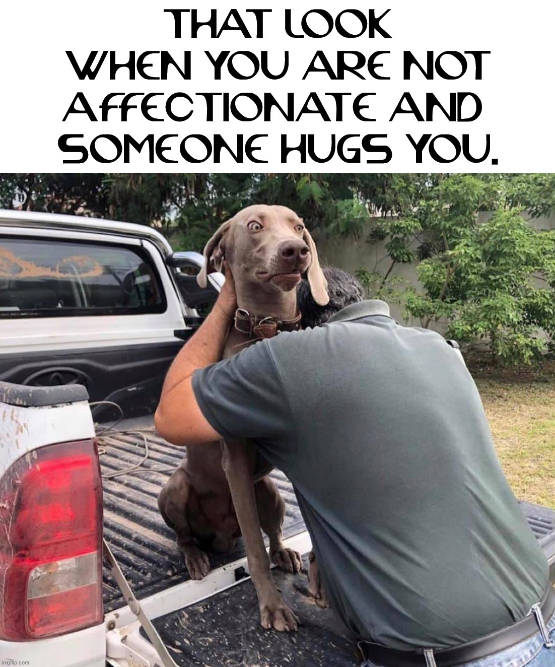 I only like hugs from certain people. | THAT LOOK WHEN YOU ARE NOT AFFECTIONATE AND 
SOMEONE HUGS YOU. | image tagged in hugs,introvert | made w/ Imgflip meme maker