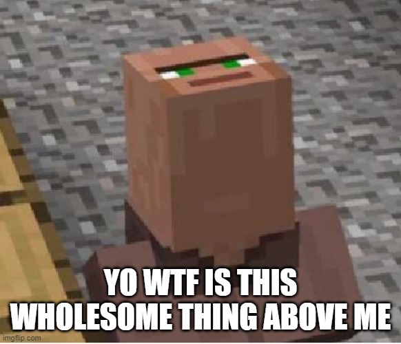 Minecraft Villager Looking Up | YO WTF IS THIS WHOLESOME THING ABOVE ME | image tagged in minecraft villager looking up | made w/ Imgflip meme maker