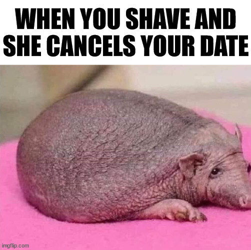 WHEN YOU SHAVE AND SHE CANCELS YOUR DATE | image tagged in shaving | made w/ Imgflip meme maker