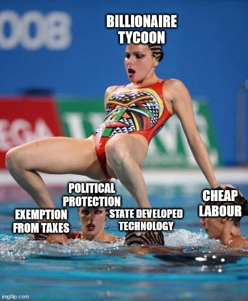 How capitalism works | BILLIONAIRE TYCOON; POLITICAL PROTECTION; CHEAP LABOUR; STATE DEVELOPED TECHNOLOGY; EXEMPTION FROM TAXES | image tagged in synchronized swimmers,capitalism | made w/ Imgflip meme maker
