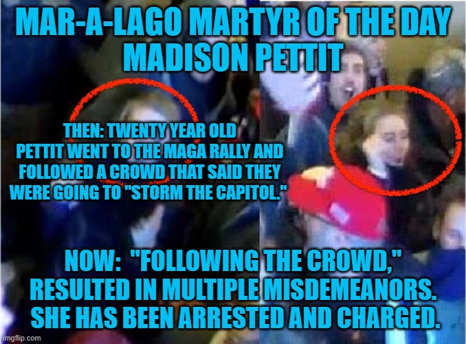 Didn't her parents warn her to be careful who she followed? | MAR-A-LAGO MARTYR OF THE DAY
MADISON PETTIT; THEN: TWENTY YEAR OLD PETTIT WENT TO THE MAGA RALLY AND FOLLOWED A CROWD THAT SAID THEY WERE GOING TO "STORM THE CAPITOL."; NOW:  "FOLLOWING THE CROWD," RESULTED IN MULTIPLE MISDEMEANORS.  SHE HAS BEEN ARRESTED AND CHARGED. | image tagged in politics | made w/ Imgflip meme maker