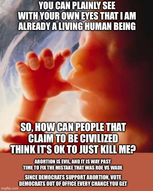 ABORTION IS EVIL | YOU CAN PLAINLY SEE WITH YOUR OWN EYES THAT I AM ALREADY A LIVING HUMAN BEING; SO, HOW CAN PEOPLE THAT CLAIM TO BE CIVILIZED THINK IT’S OK TO JUST KILL ME? ABORTION IS EVIL, AND IT IS WAY PAST TIME TO FIX THE MISTAKE THAT WAS ROE VS WADE; SINCE DEMOCRATS SUPPORT ABORTION, VOTE DEMOCRATS OUT OF OFFICE EVERY CHANCE YOU GET | image tagged in fetus | made w/ Imgflip meme maker
