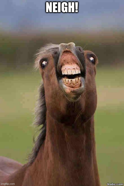do I eat horse? | NEIGH! | image tagged in horse face | made w/ Imgflip meme maker