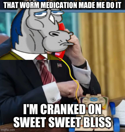 THAT WORM MEDICATION MADE ME DO IT I'M CRANKED ON SWEET SWEET BLISS | image tagged in horse | made w/ Imgflip meme maker