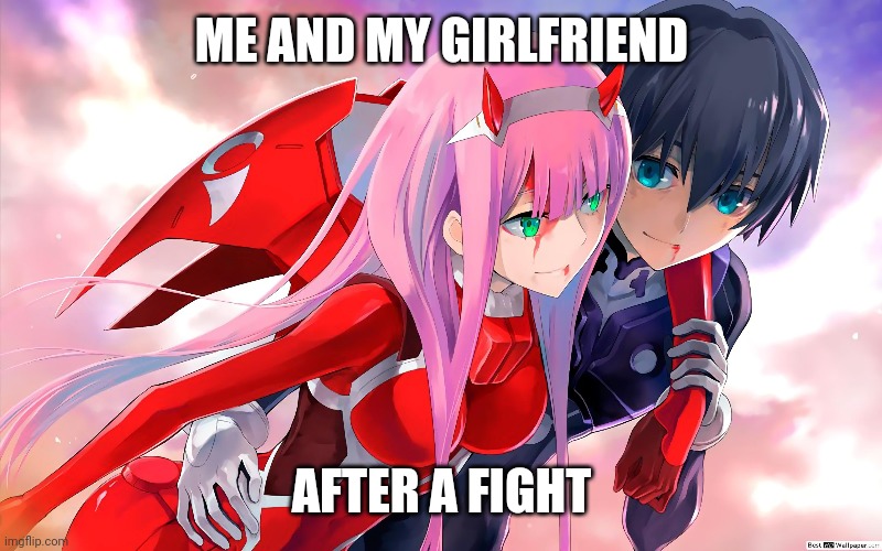 Me and my girlfriend | ME AND MY GIRLFRIEND; AFTER A FIGHT | image tagged in zerotwo,hiro | made w/ Imgflip meme maker