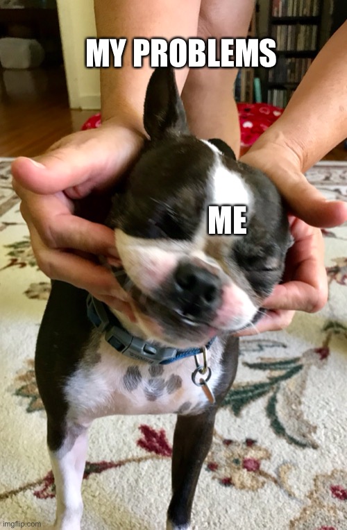 My problems | MY PROBLEMS; ME | image tagged in dog,problems | made w/ Imgflip meme maker