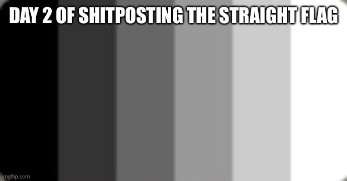 Hetero sexual | DAY 2 OF SHITPOSTING THE STRAIGHT FLAG | image tagged in straight flag | made w/ Imgflip meme maker