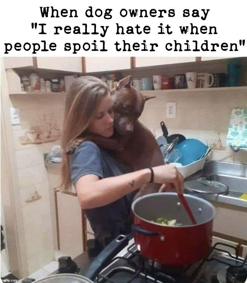 When dog owners say "I really hate it when people spoil their children" | image tagged in dogs | made w/ Imgflip meme maker